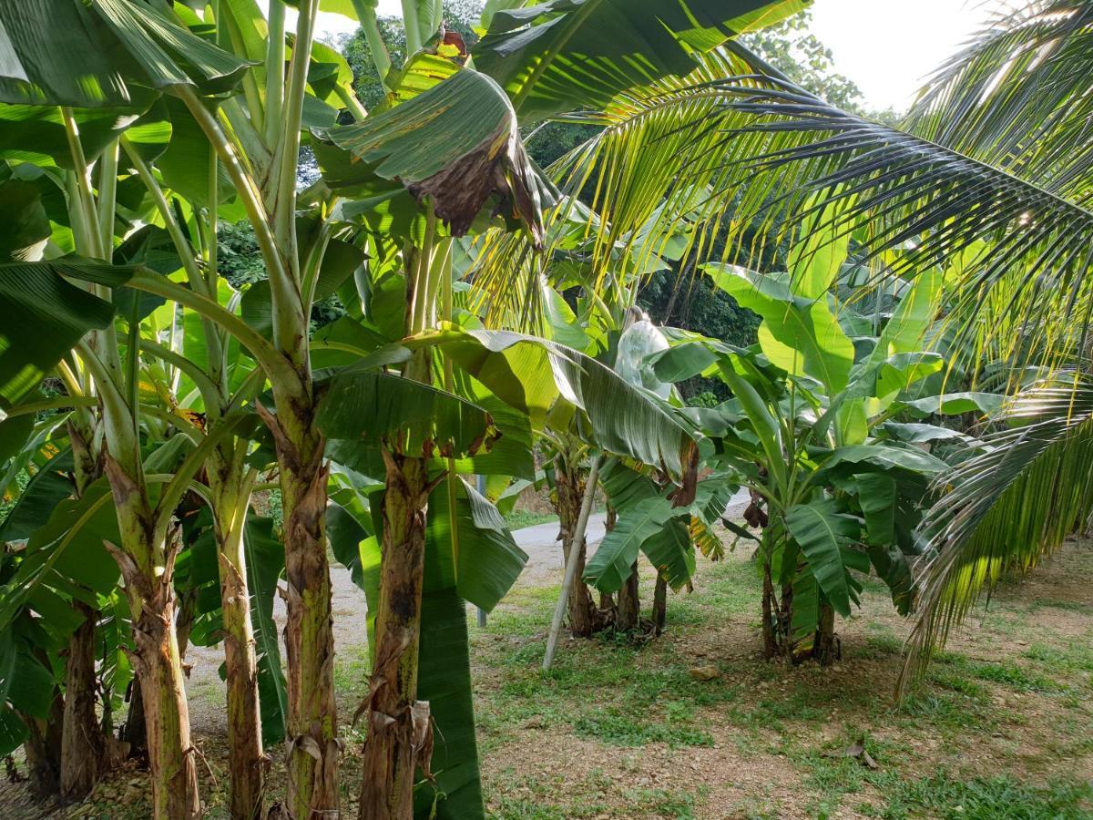 Baan Suan Coconut Ko Yao Noi Hotel Екстериор снимка