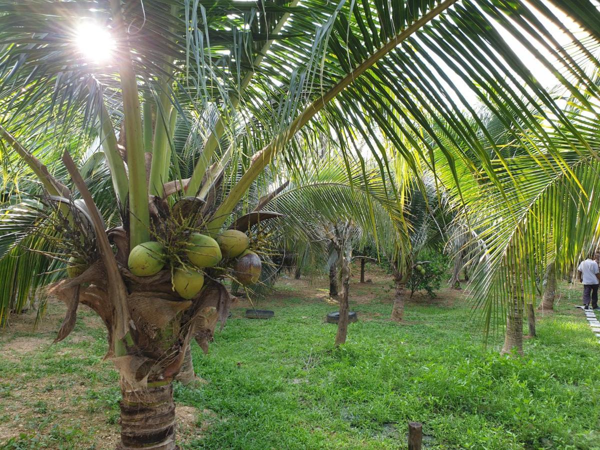 Baan Suan Coconut Ko Yao Noi Hotel Екстериор снимка